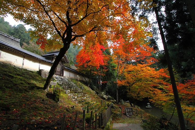 常照皇寺_e0051888_22541171.jpg