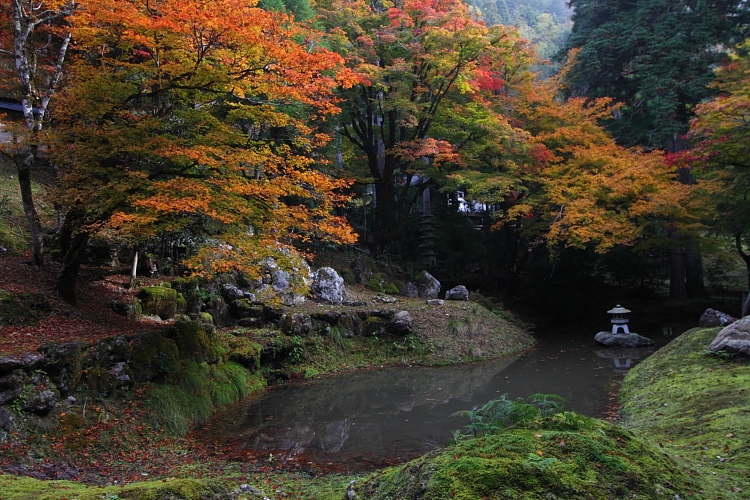 常照皇寺_e0051888_22542718.jpg
