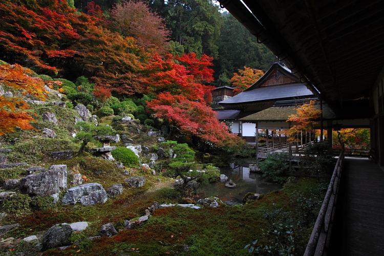 常照皇寺_e0051888_22544767.jpg