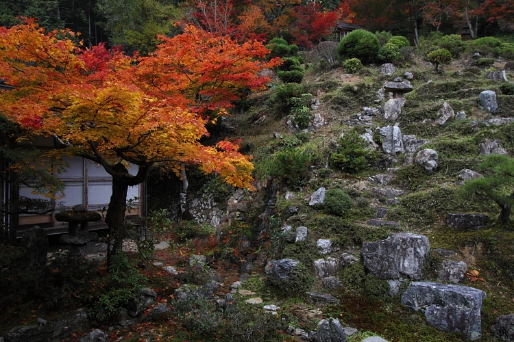 常照皇寺_e0051888_2255379.jpg