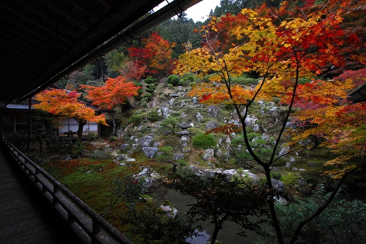 常照皇寺_e0051888_22554878.jpg
