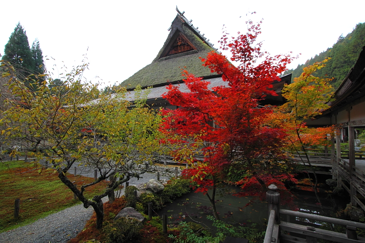 常照皇寺_e0051888_22562487.jpg