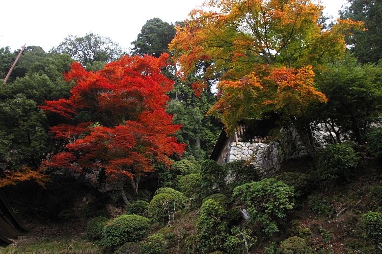 常照皇寺_e0051888_22564357.jpg