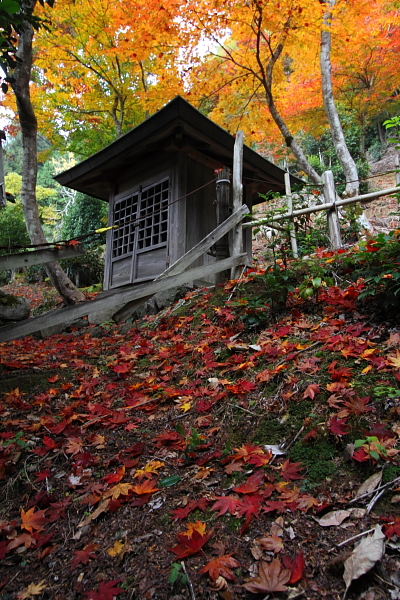 常照皇寺_e0051888_2257083.jpg