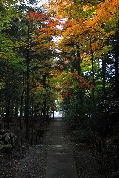 常照皇寺_e0051888_2258945.jpg