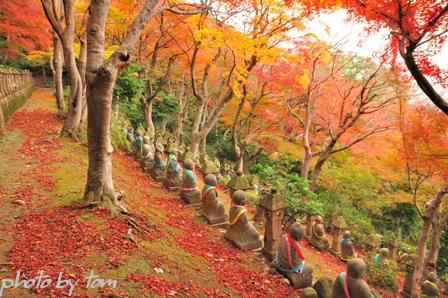 富山散歩～県東部113～秋の長慶寺2010「五百羅漢」_b0155692_19144997.jpg