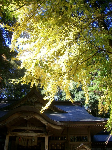 f0209394_010815.jpg