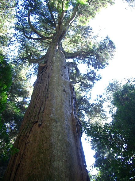 f0209394_0121637.jpg