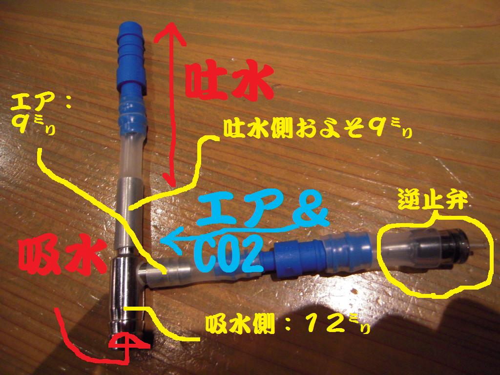 復活 Garciaのdiy もうエアポンプとかいらないな Garciaのrockでaquaでオバカな日常 復活 Garciaのdiy もうエアポンプとかいらないな Garciaのrockでaquaでオバカな日常