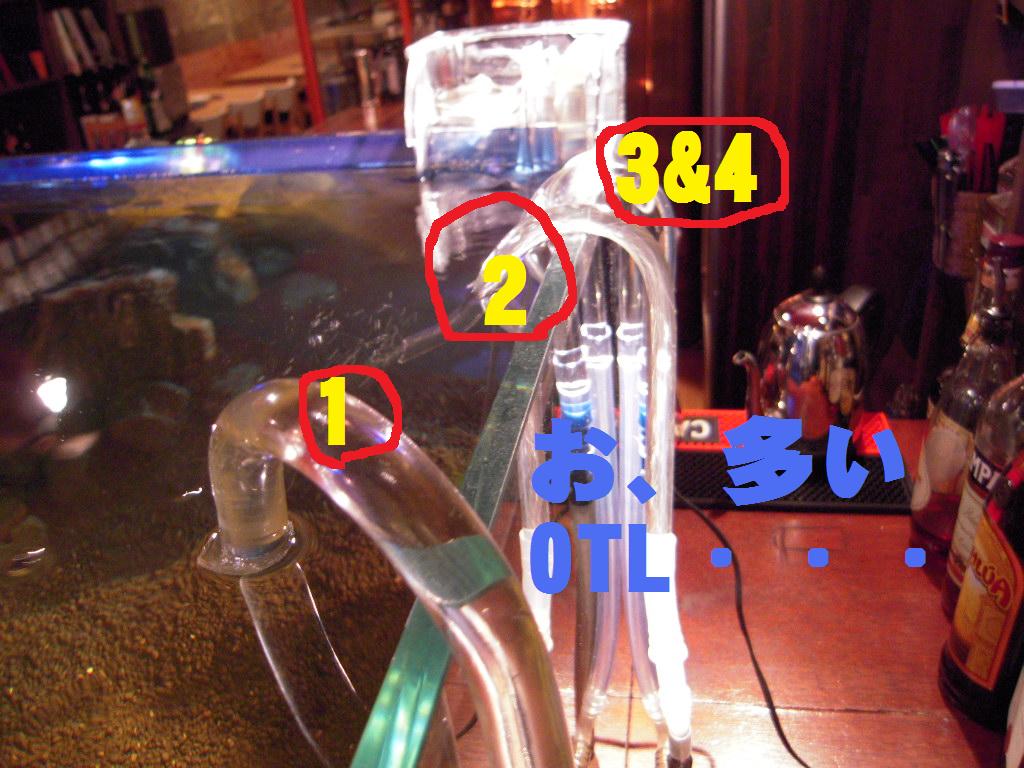 復活 Garciaのdiy もうエアポンプとかいらないな Garciaのrockでaquaでオバカな日常 復活 Garciaのdiy もうエアポンプとかいらないな Garciaのrockでaquaでオバカな日常