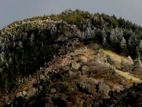 登山道情報_e0120896_8154295.jpg