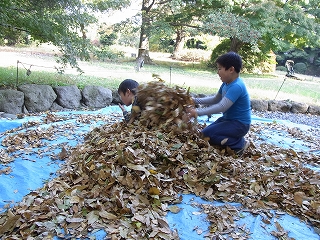 プール開き_b0049307_023387.jpg