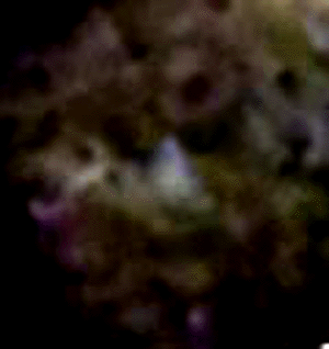 e0103408_0222887.gif