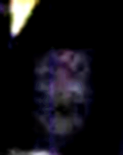 e0103408_022465.gif
