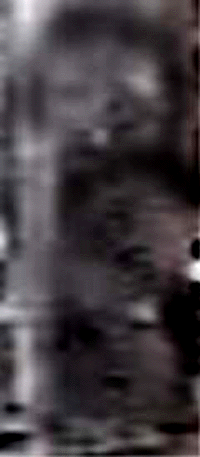 e0103408_1724431.gif