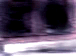 e0103408_17332744.gif