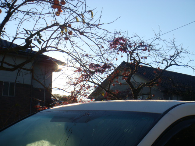 e0181908_84749.jpg