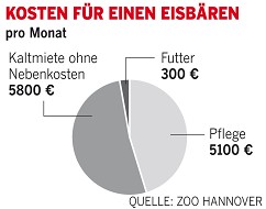 動物園でホッキョクグマ１頭を飼育するのにいくらかかるのか？_a0151913_17254366.jpg