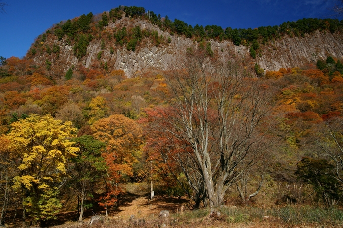 屏風岩の紅葉_e0177413_1334751.jpg