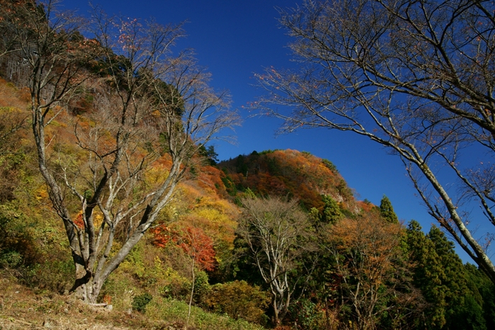 屏風岩の紅葉_e0177413_13352513.jpg