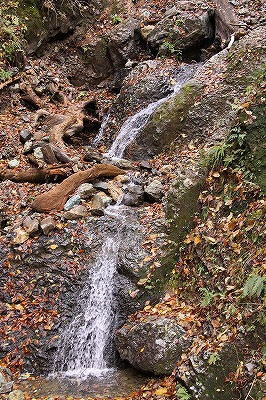 東北の旅・・・抱返り渓谷_a0087818_22414581.jpg