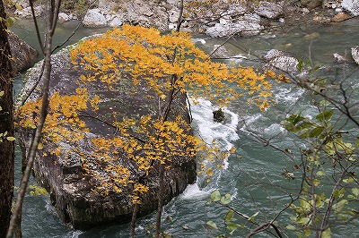 東北の旅・・・抱返り渓谷_a0087818_2355733.jpg