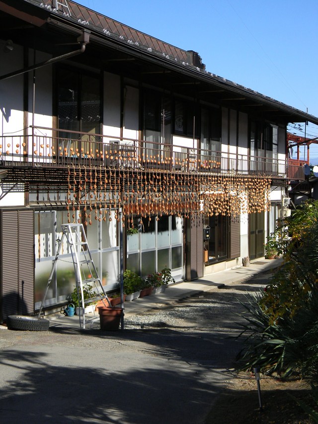 リンゴ農園_c0213220_22315889.jpg