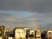 虹を見ました_c0133422_1593328.jpg