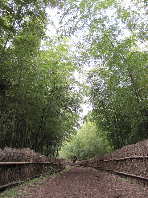 e0162524_12181894.jpg