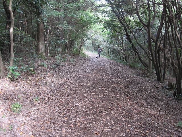 e0162524_1218585.jpg
