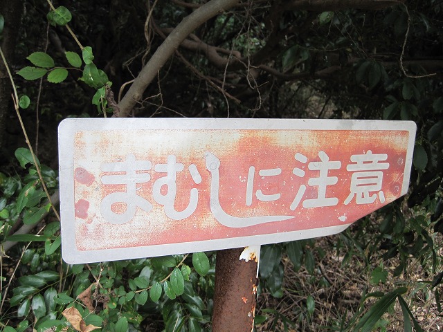 e0162524_12192697.jpg