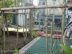 2010後半・面白風景、寄せ集め♪_c0134734_1265583.jpg