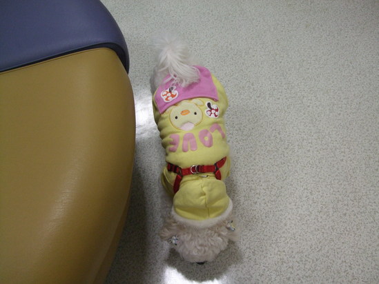 e0191034_162386.jpg