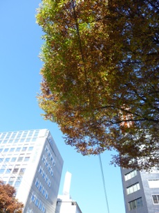 b0169238_2115418.jpg