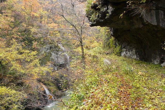 f0003138_9102480.jpg