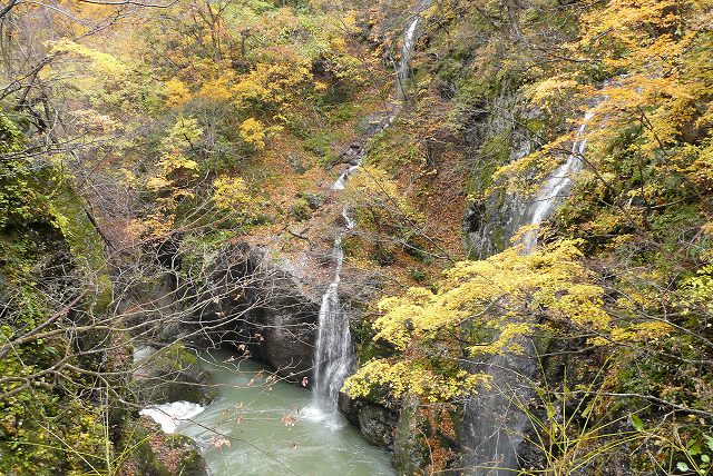 f0003138_944745.jpg