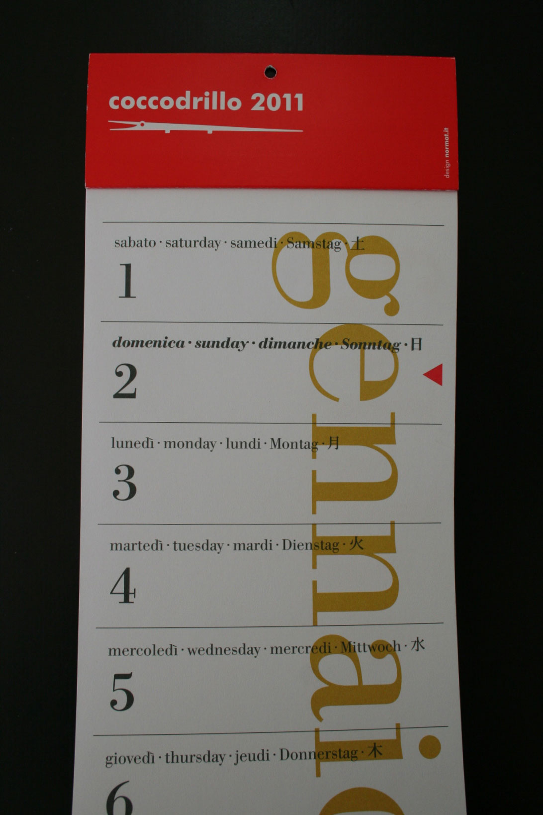 2011年カレンダーcoccodrillo（ワニ）が入荷しました！_f0171840_1245755.jpg