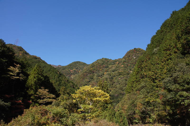 e0111346_1724699.jpg
