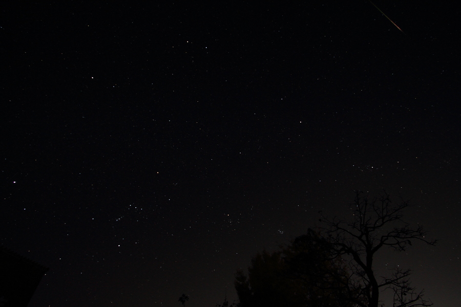 b0157849_530173.jpg