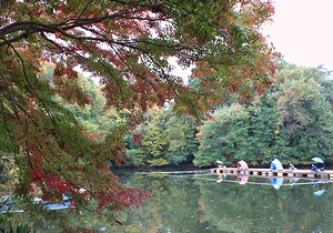 少しずつ色づいてます-震生湖の紅葉情報_c0171849_12382122.jpg