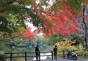 少しずつ色づいてます-震生湖の紅葉情報_c0171849_12451637.jpg