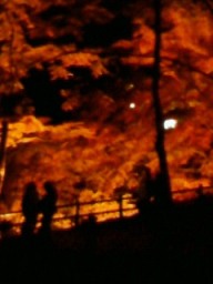 【11月19日】火事ではありません_f0088753_8424231.jpg