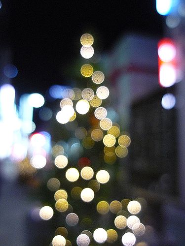 美しい夜に　お誕生日おめでとう　玖珠　霜月祭り(冬支度)KUSU SIMOTUKIMATURI　＠銀座 坐来 大分✛♬♪　_a0053662_281240.jpg
