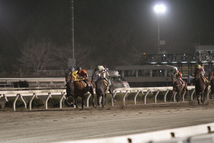 2010年11月12日（金） 高知競馬 8R 三原村どぶろく特別 C3-6_a0077663_8424467.jpg