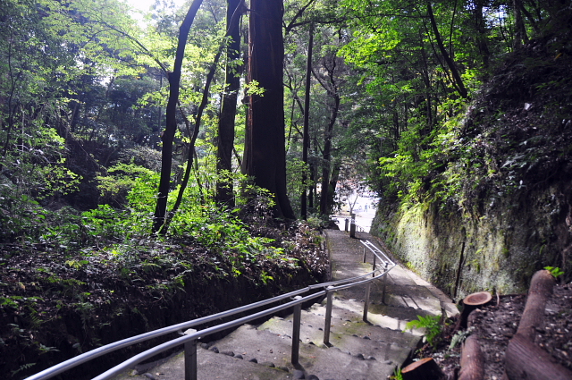 b0053765_1957550.jpg