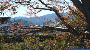 地鎮祭_b0207676_15433737.jpg