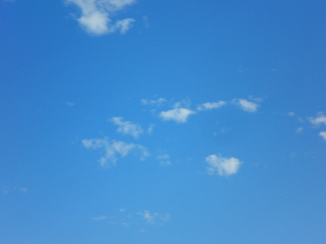c0187677_9463025.jpg