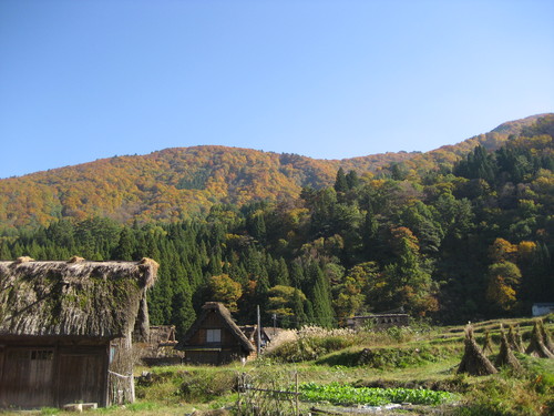 c0229483_848367.jpg