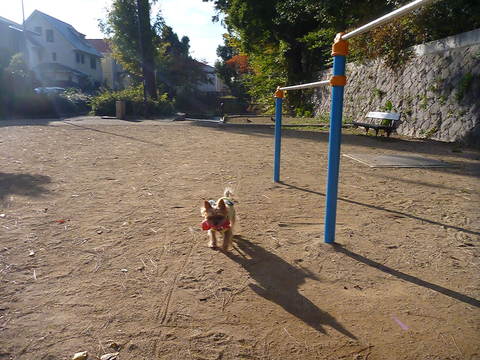 c0191390_22553077.jpg