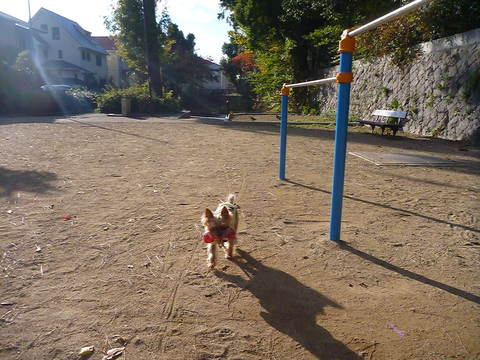 c0191390_2256682.jpg